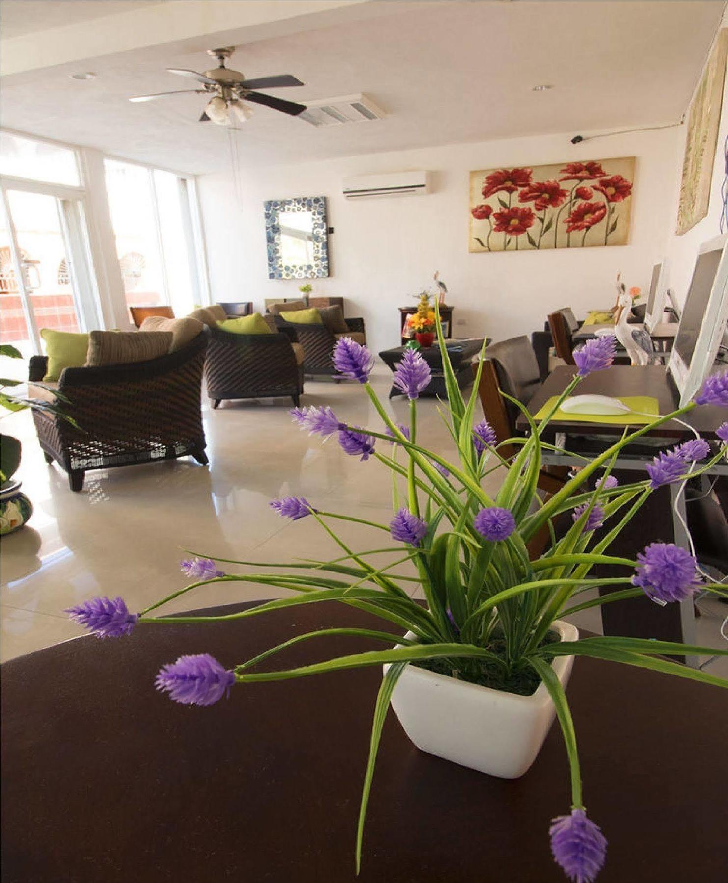 Hotel Isleno Isla Mujeres Dış mekan fotoğraf